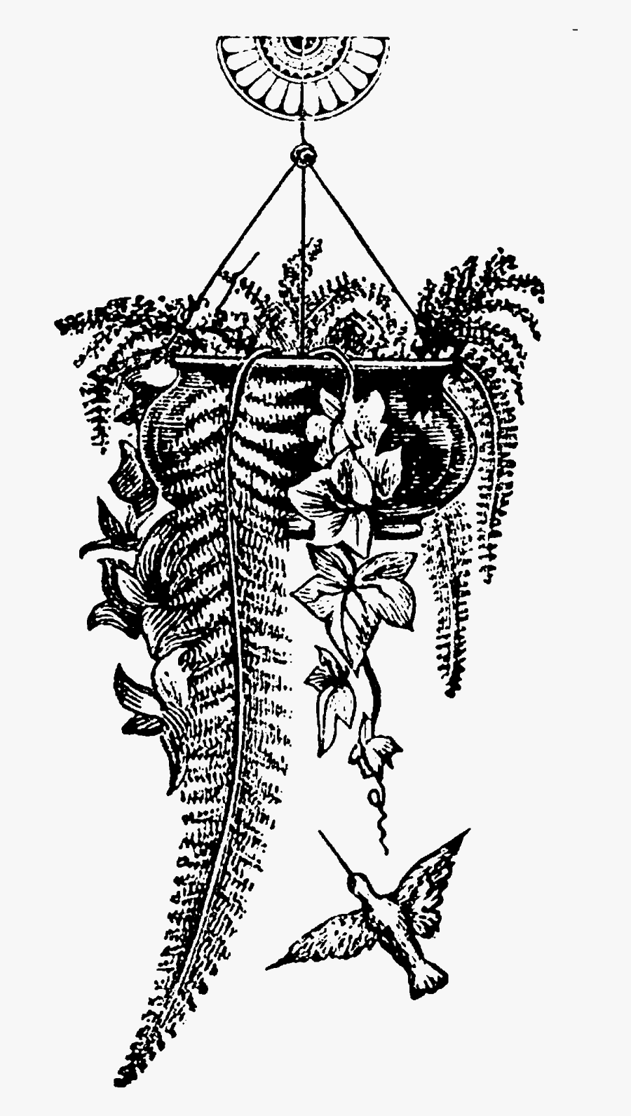 Illustration, Transparent Clipart