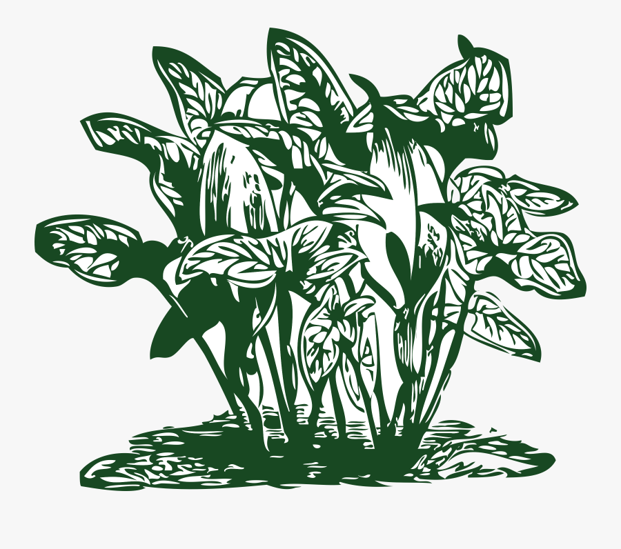 Royalty Free Library Plants Big Image Png - Plants Clip Art, Transparent Clipart