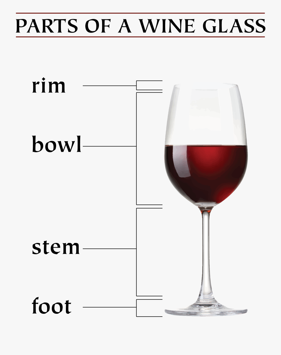 Clip Art Parts Of A The - Parts Of Red Wine Glass, Transparent Clipart