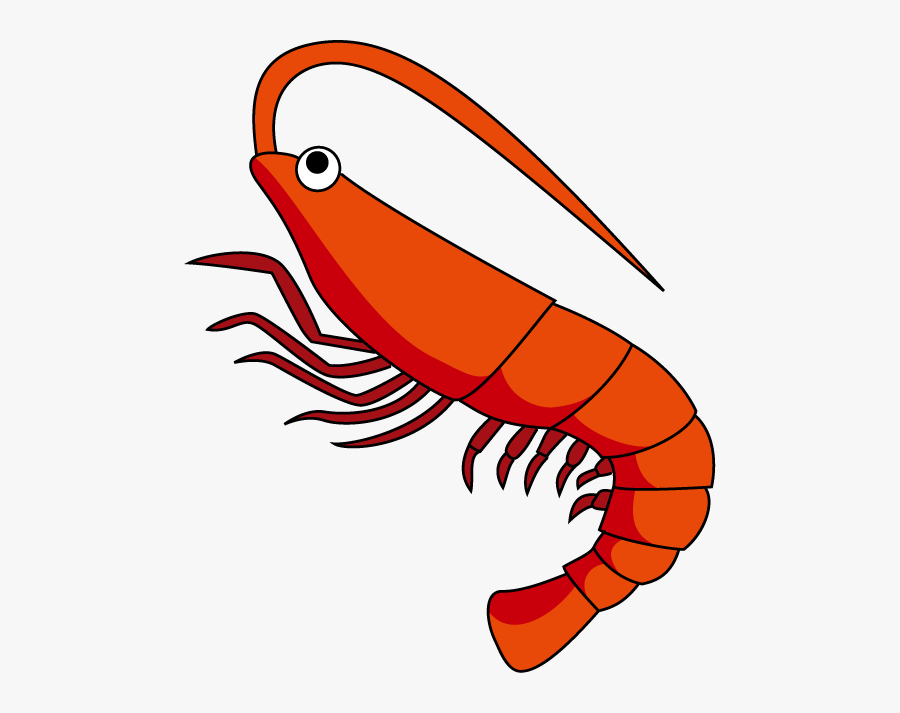 Shrimp Clipart The Cliparts - Clip Art Of Shrimp, Transparent Clipart