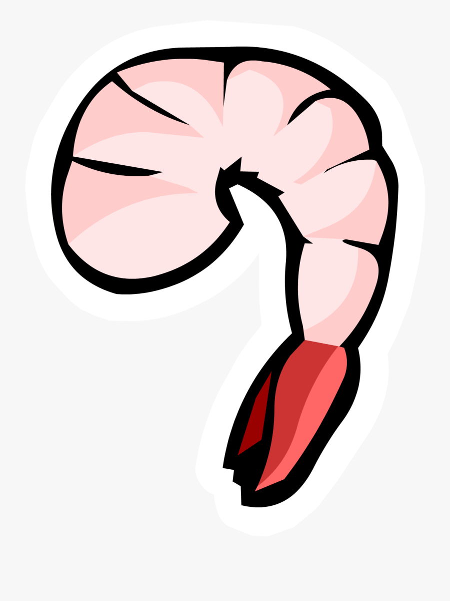 Shrimp Pin - Shrimp Animation, Transparent Clipart