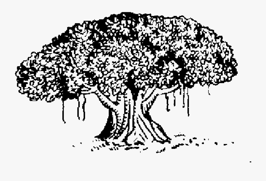 Indian Election Symbol Tree - Samajwadi Janata Party Rashtriya, Transparent Clipart