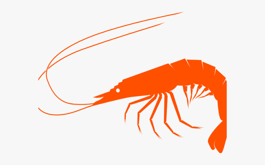 Shrimp Clipart Small Shrimp - Shrimp Clip Art Transparent Background, Transparent Clipart