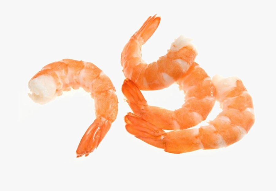Shrimp Png Image, Transparent Clipart