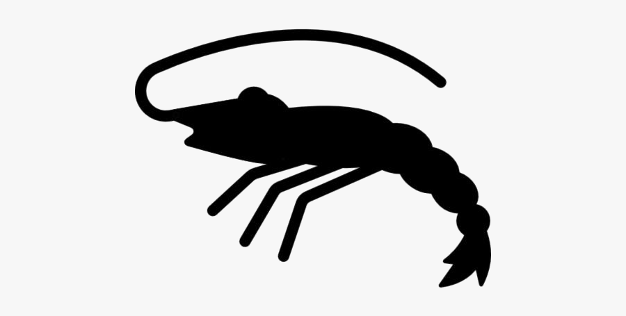 Transparent Shrimp Food Clipart, Shrimp Food Png Image - Shrimp Cartoon Transparent Background, Transparent Clipart