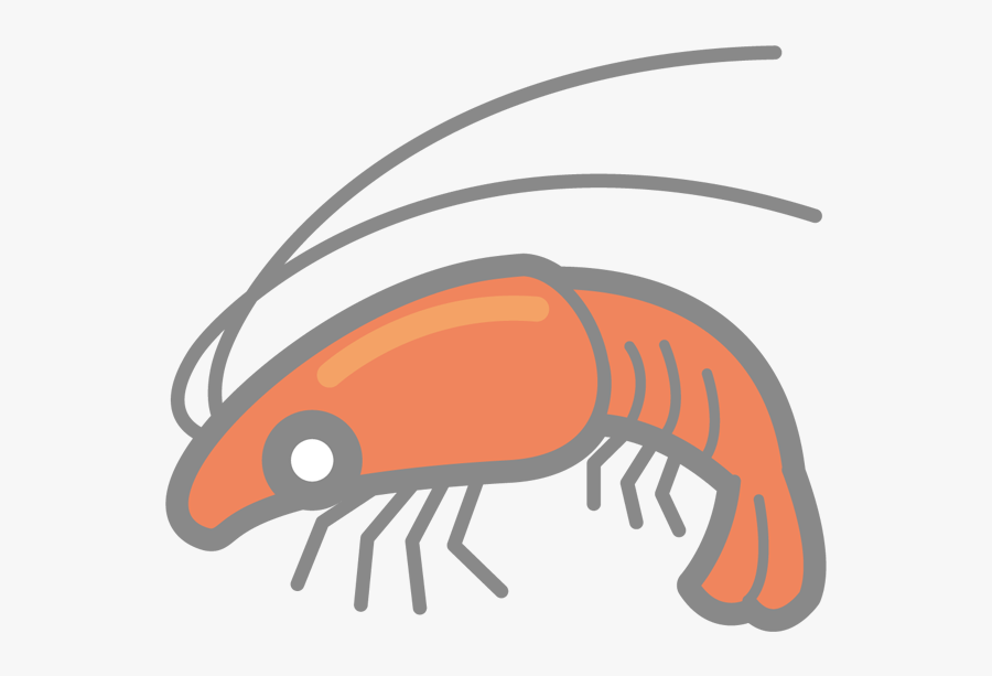 Transparent Shrimp Clipart - エビ イラスト 白黒, Transparent Clipart