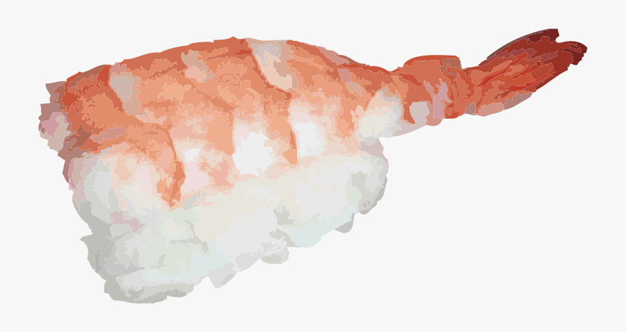 Transparent Shrimp Clipart - Nigiri Sushi Png, Transparent Clipart