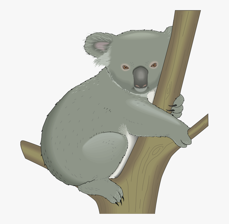 Koala Clipart The Cliparts - Free Clip Art Koala, Transparent Clipart