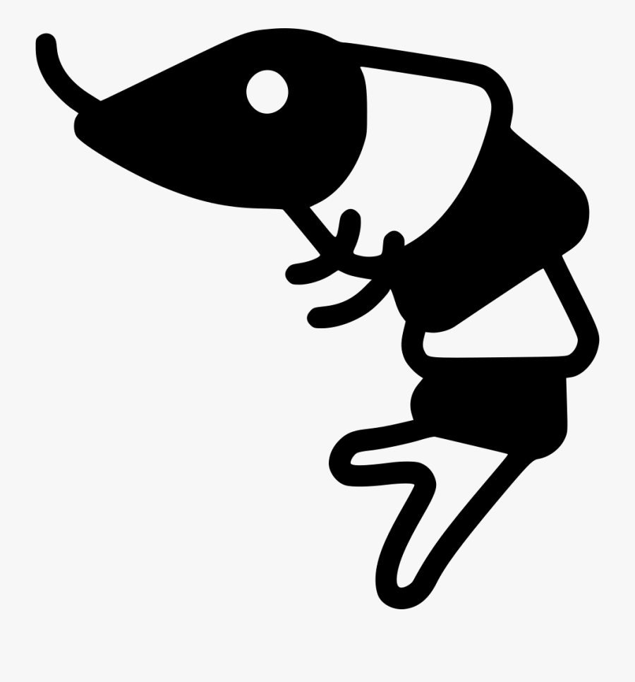 Png File Shrimp Black And White- - Shrimp Clipart Black And White, Transparent Clipart