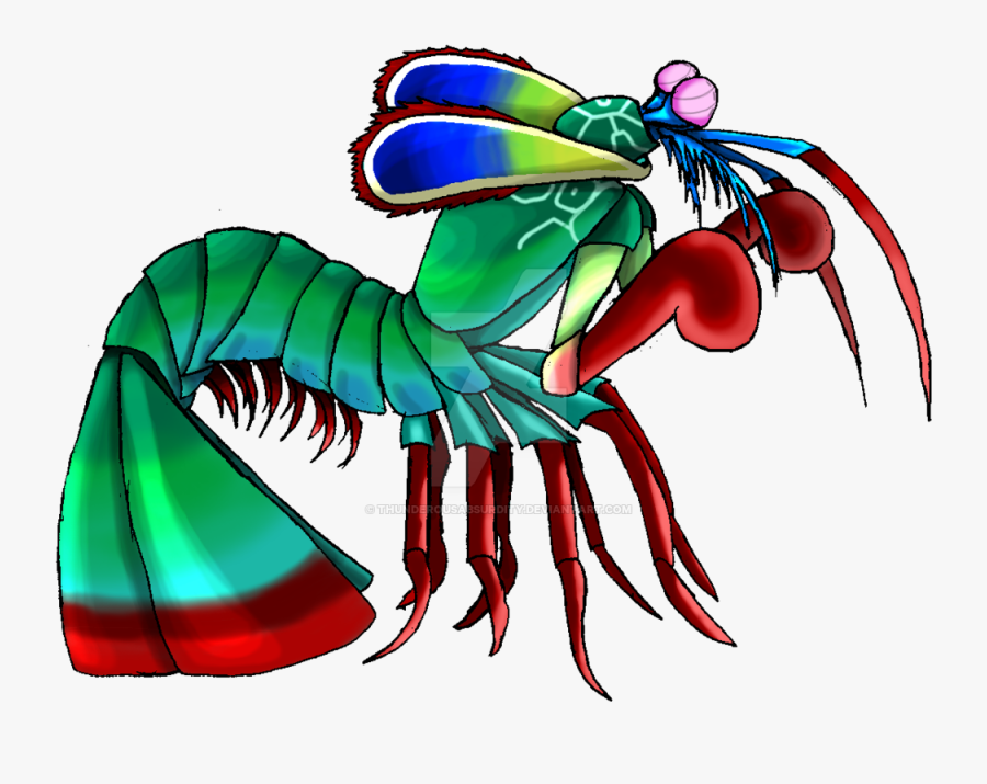 Mantis Cartoon Clip Art - Peacock Mantis Shrimp Cartoon, Transparent Clipart