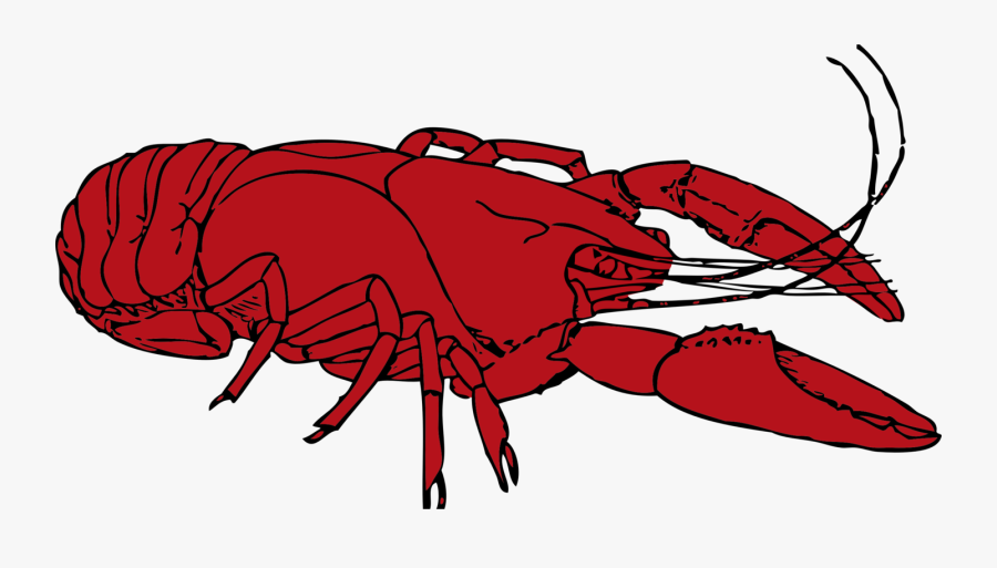 Clip Art Crayfish Lobster Louisiana Crustacean - Crawfish Clip Art, Transparent Clipart