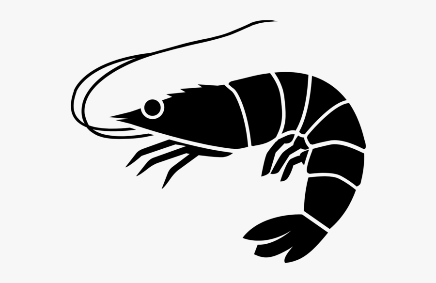 Shrimp Icon - Shrimp Black And White, Transparent Clipart
