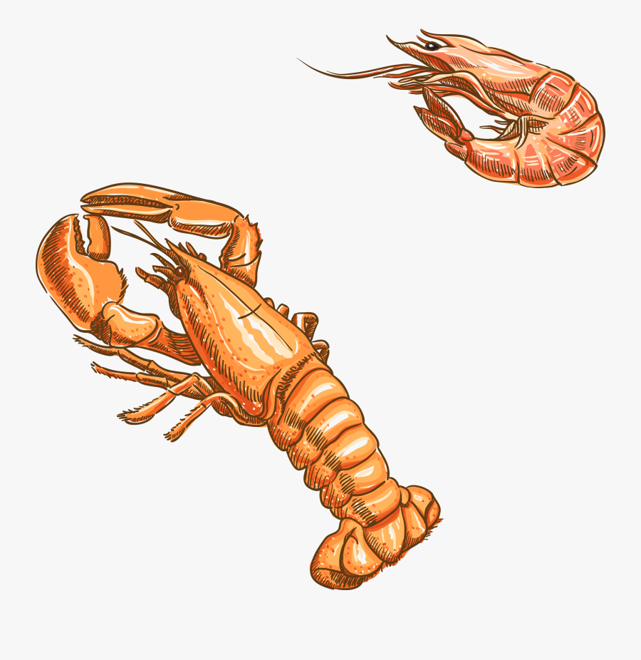 Collection Of Free Vector - Seafood Vector Free Download, Transparent Clipart