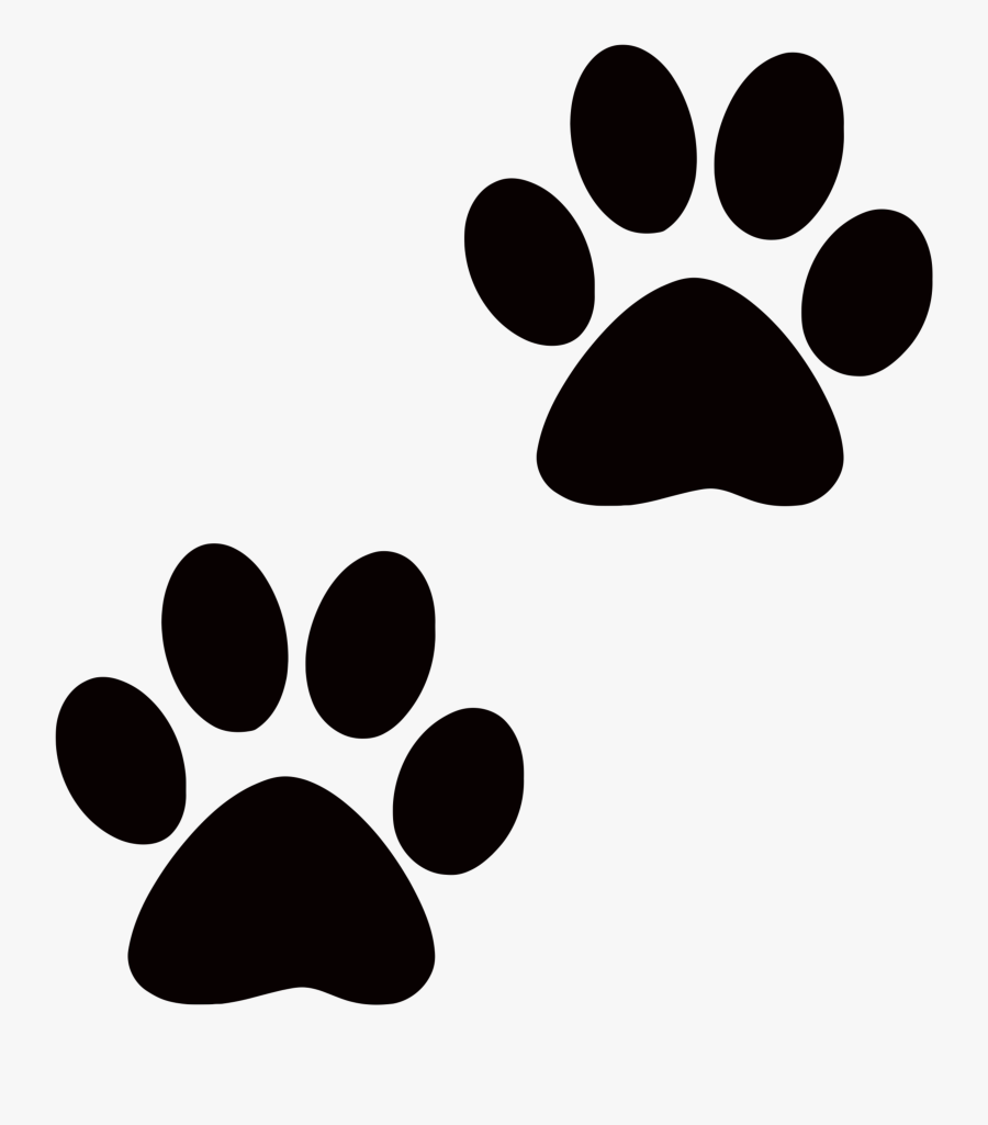 Collection Of Transparent High Quality Free - Transparent Background Dog Paw Clipart, Transparent Clipart