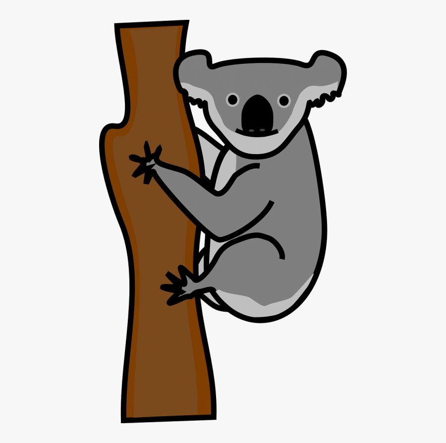 Clipart Koala, Transparent Clipart