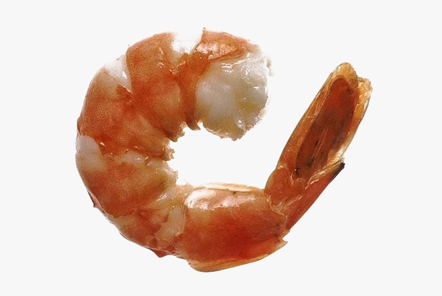 Ocean Shrimp Transparent Free Png - Litopenaeus Setiferus, Transparent Clipart