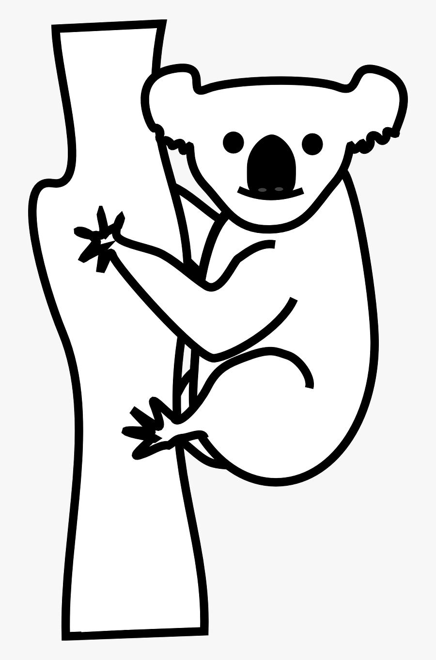 Koala Black And White, Transparent Clipart