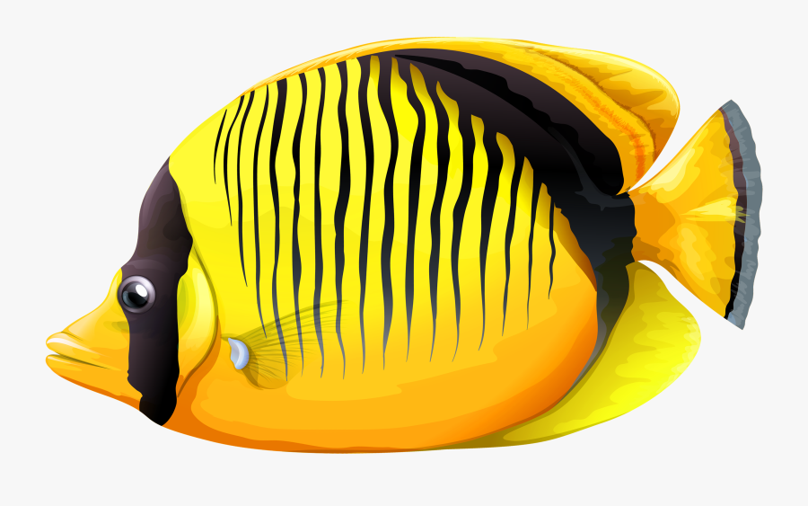 Yellow Butterfly Fish Png Clipart - Transparent Background Tropical Fish Png, Transparent Clipart