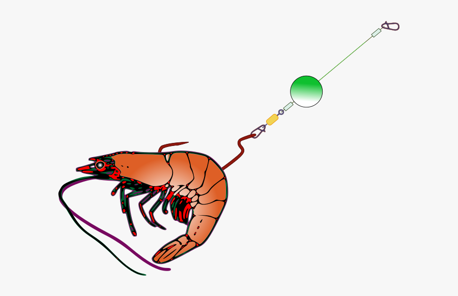 Fishing Bait, Transparent Clipart