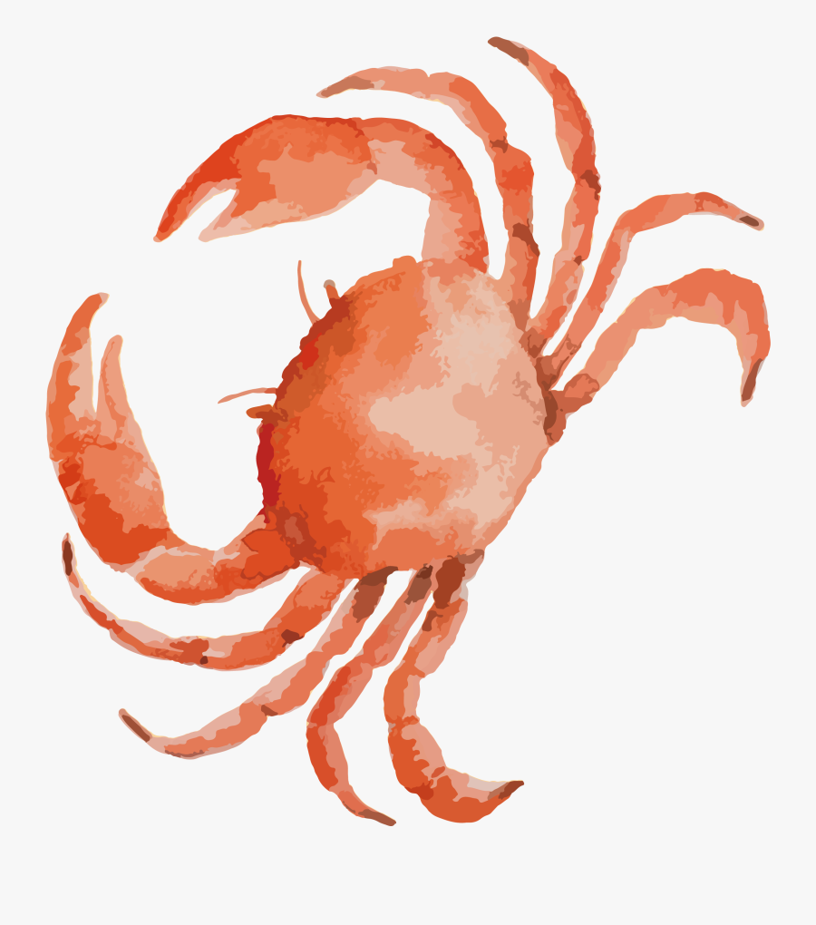 Seafood Drawing Blue Crab Transparent Png Clipart Free - Crab Clipart, Transparent Clipart