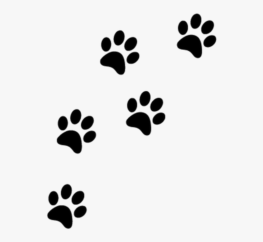 Transparent Zap Clipart - Transparent Background Paw Prints Png, Transparent Clipart