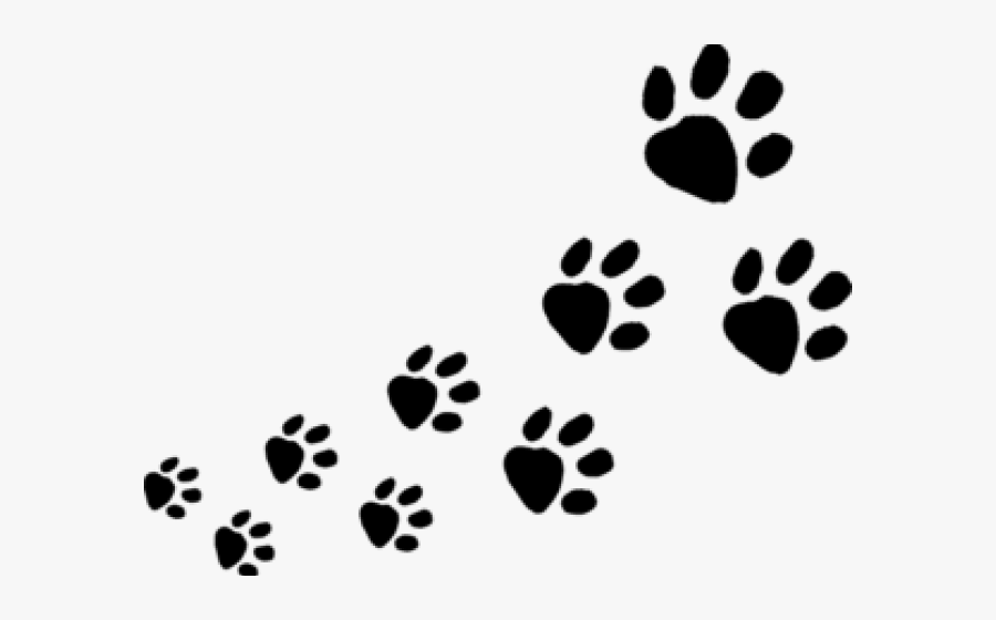 Transparent Dog Paws Clipart - Dog Paw Tracks Png, Transparent Clipart