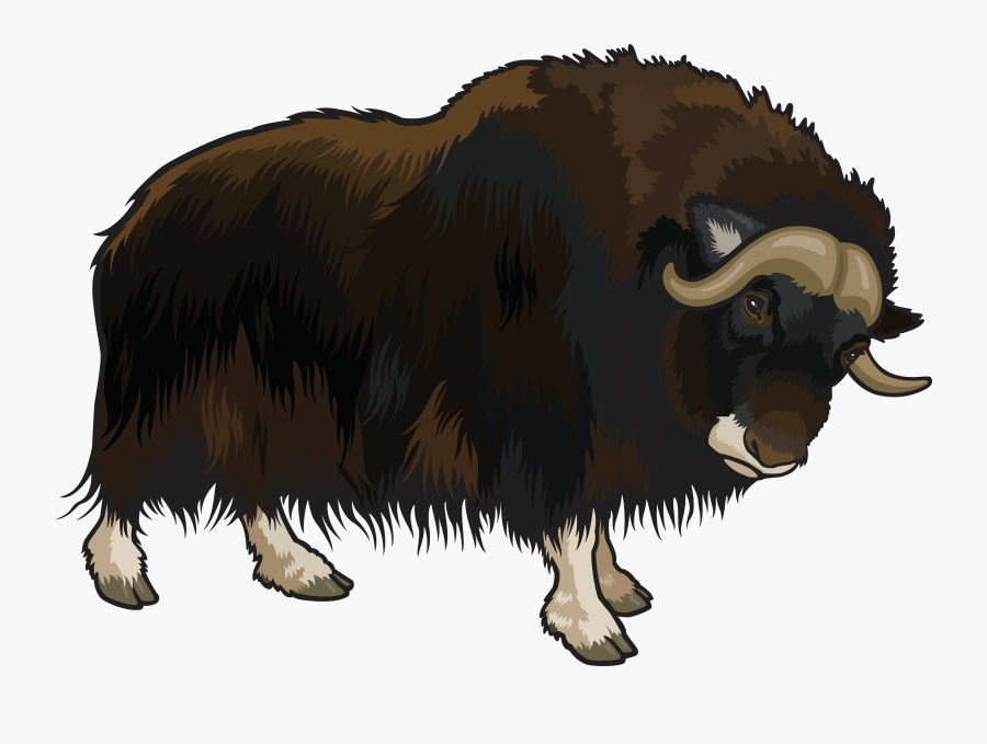 Buffalo Png Clipart - Buffalo Png, Transparent Clipart