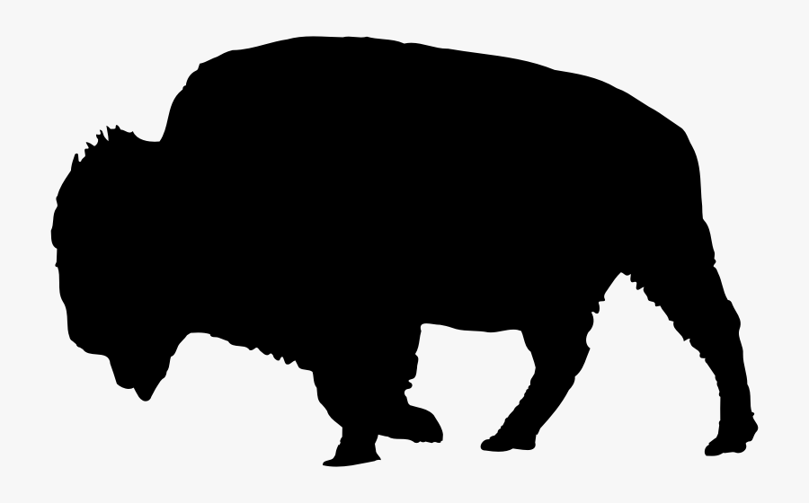 Wildlife Petting Chart, Transparent Clipart