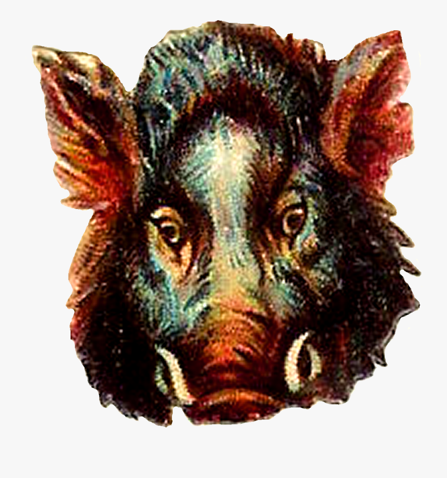 Transparent Buffalo Png - Portable Network Graphics, Transparent Clipart