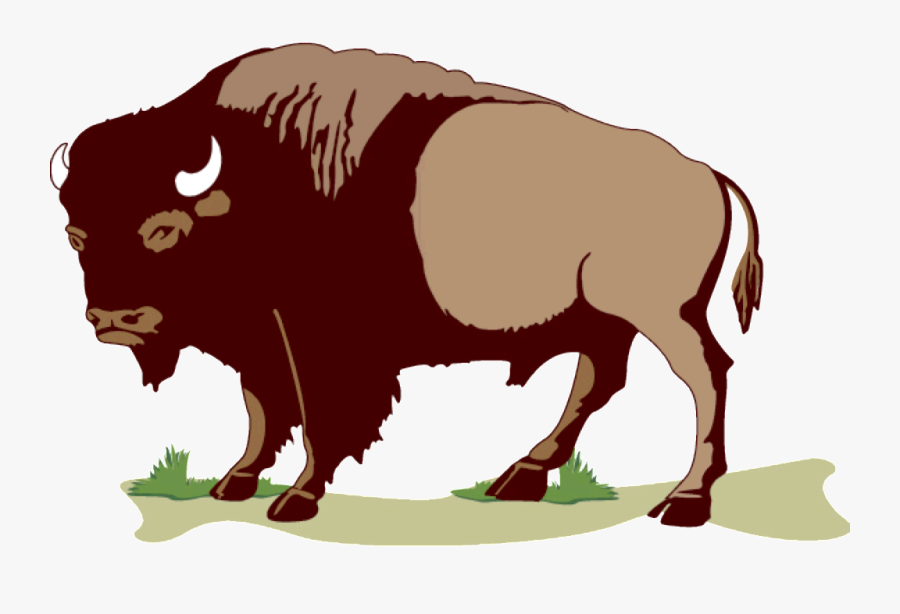 Buffalo Sticker Clipart , Png Download - Buffalo Clipart Free, Transparent Clipart