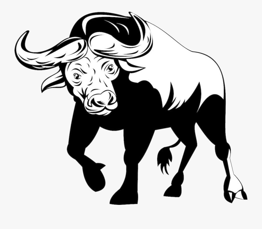 African Buffalo Stock Illustration Royalty-free Clip - Buffalo Illustration, Transparent Clipart