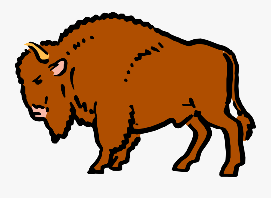 Cartoon Buffalo - Buffalo Clipart, Transparent Clipart