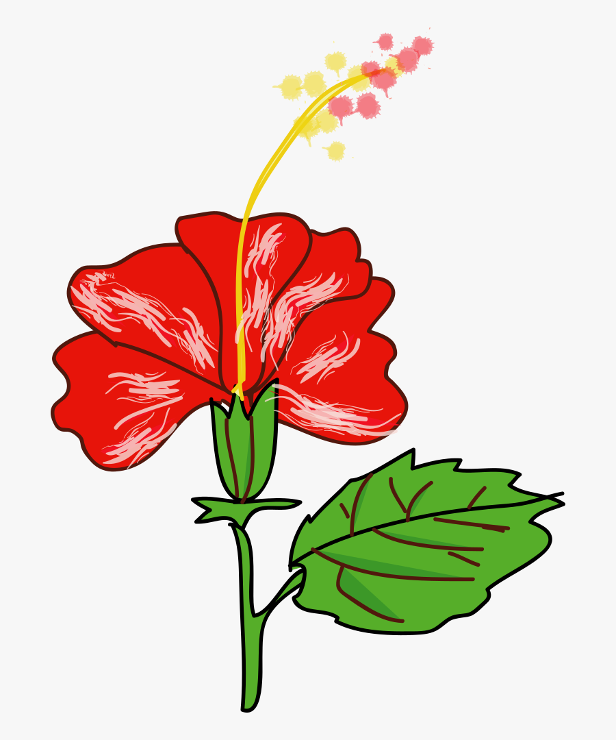 Flower Hibiscus Clipart, Vector Clip Art Online, Royalty - Gambar Bunga Kembang Sepatu, Transparent Clipart