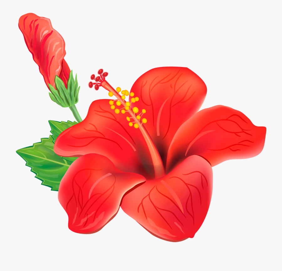Coast Images - Tropical Flowers Clipart, Transparent Clipart