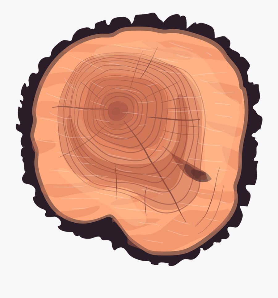 Wheel Eucalyptus Stump Tree Wood Trunk Clipart - Top Tree Stump Png, Transparent Clipart