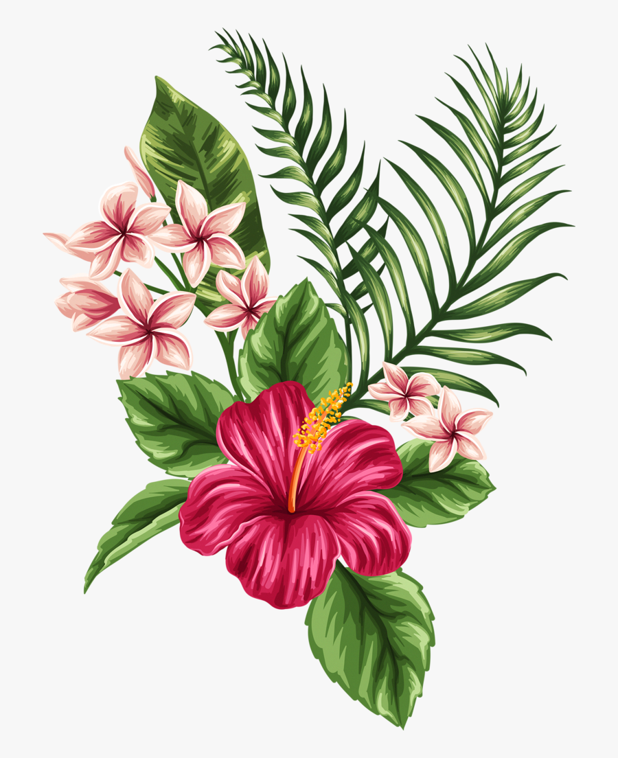 Clip Art Hibiscus Illustration - Hibiscus Hawaiian Flower Drawing, Transparent Clipart