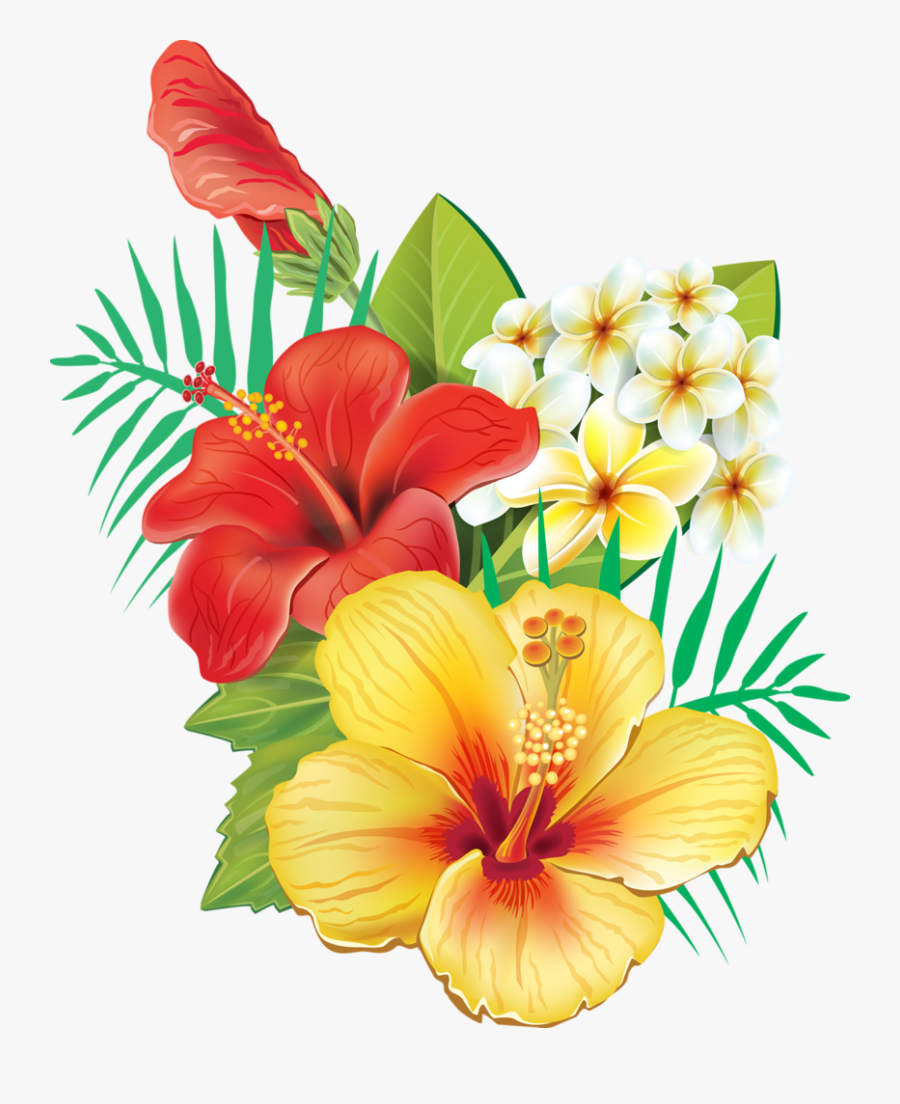 Hibiscus Clipart Plant - Tropical Flowers Png Transparent, Transparent Clipart