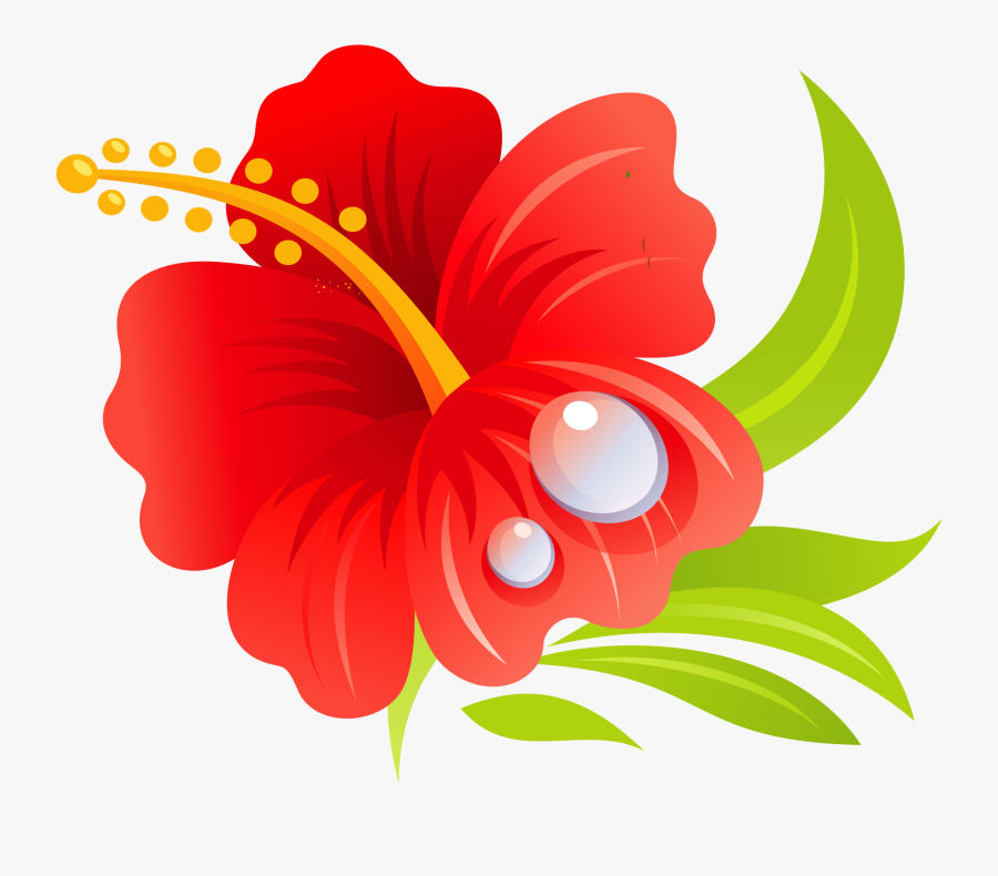 Hawaiian Hibiscus Hawaiian Hibiscus Drawing Clip Art - Gumamela Drawing With Color, Transparent Clipart