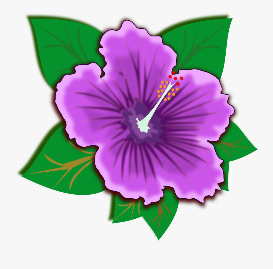 Transparent Hibiscus Clipart - Rainforest Plant Clip Art, Transparent Clipart