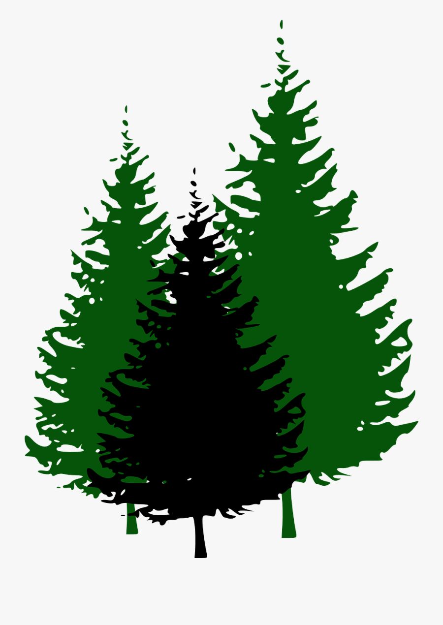 Fir Trees Forest Conifers - Clipart Pine Trees Black And White, Transparent Clipart