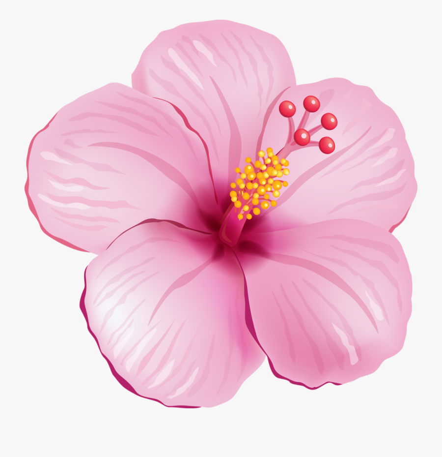 Pink Hibiscus - Pink Exotic Flower Png, Transparent Clipart