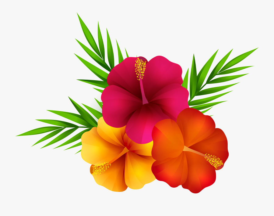 Exotic Flowers Png Clip Art Imageu200b Gallery Yopriceville - Transparent Background Tropical Flowers Clipart, Transparent Clipart