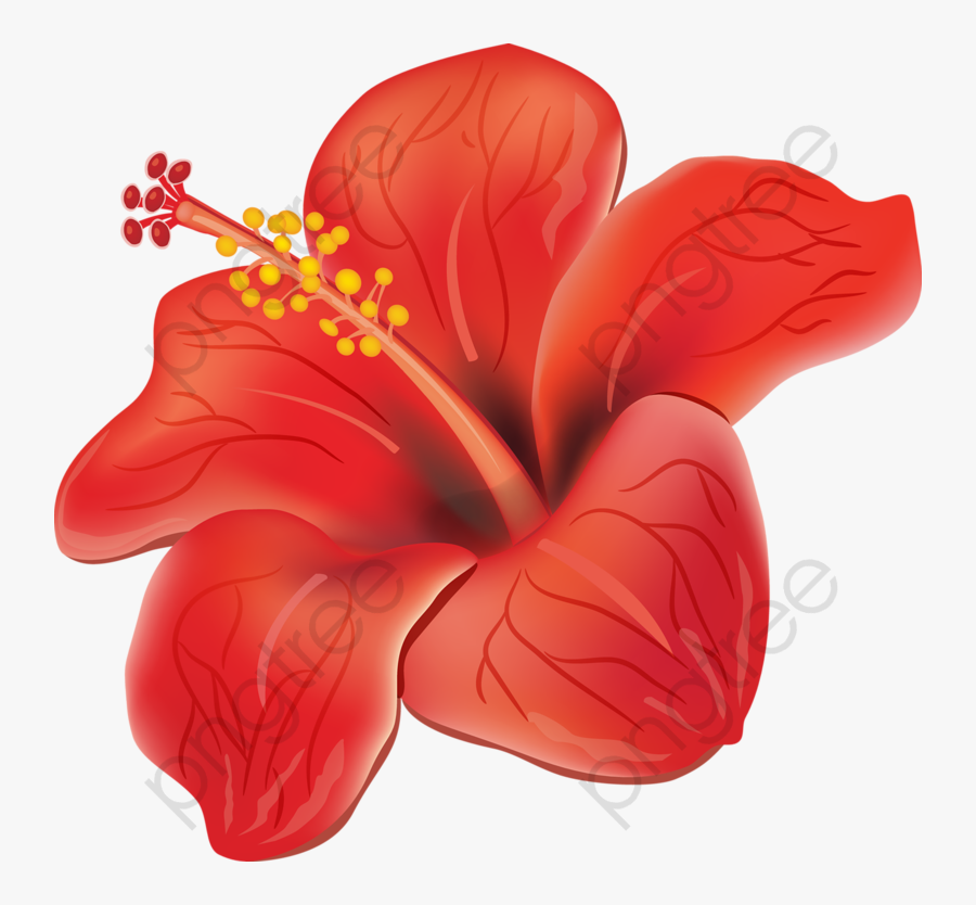 Red Hibiscus - Moana Hawaiian Flowers Clipart, Transparent Clipart