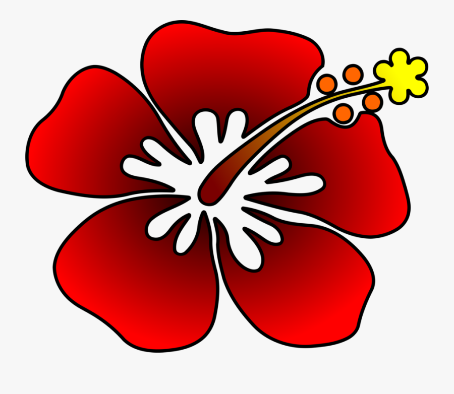 Hibiscus,plant,flora, Transparent Clipart