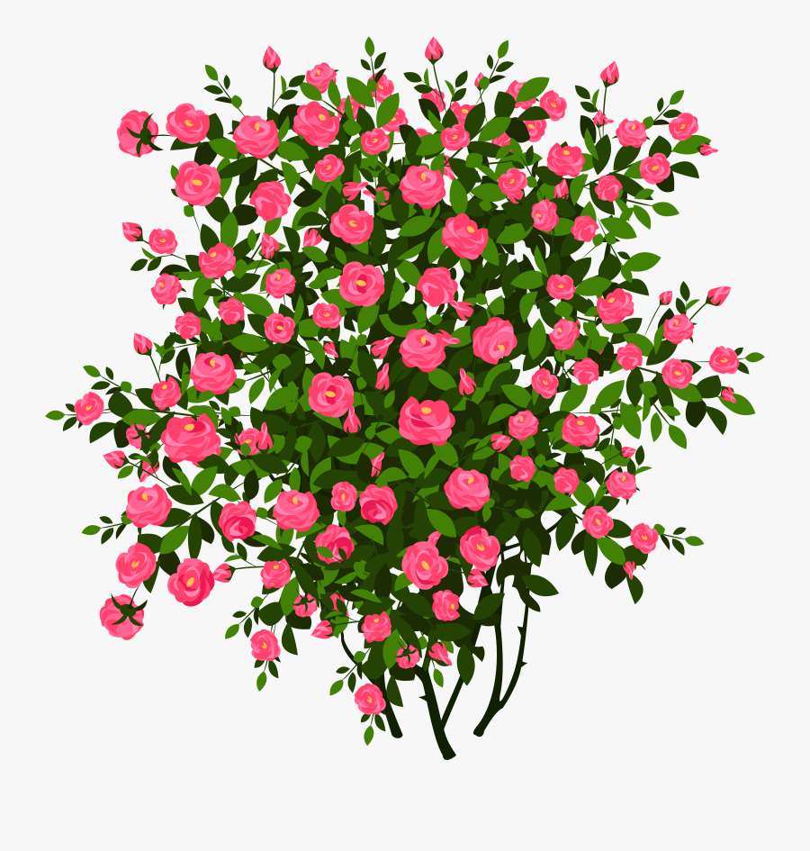 Pin By Pink Maiden On Clipart - Rose Bush Png, Transparent Clipart