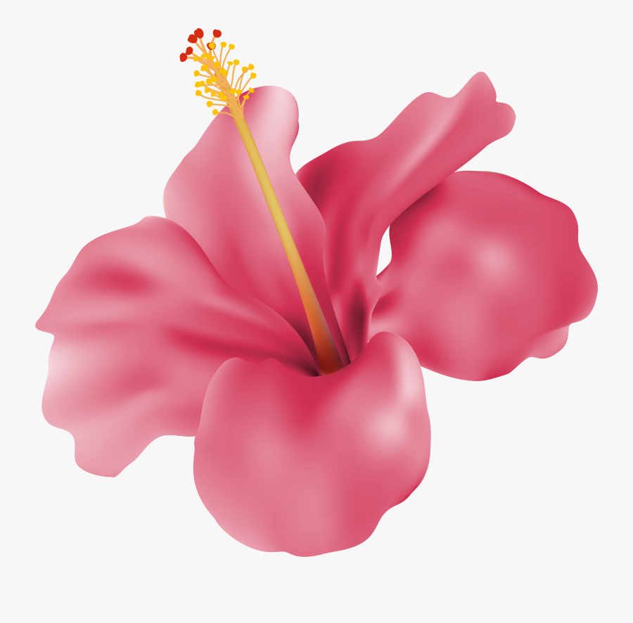 Hibiscus Pink Transparent Png Clip Art Image , Png, Transparent Clipart