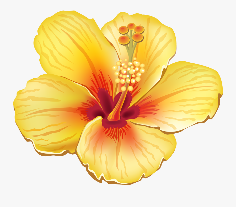 Transparent Hawaiian Flowers Clipart - Yellow Tropical Flower Png, Transparent Clipart