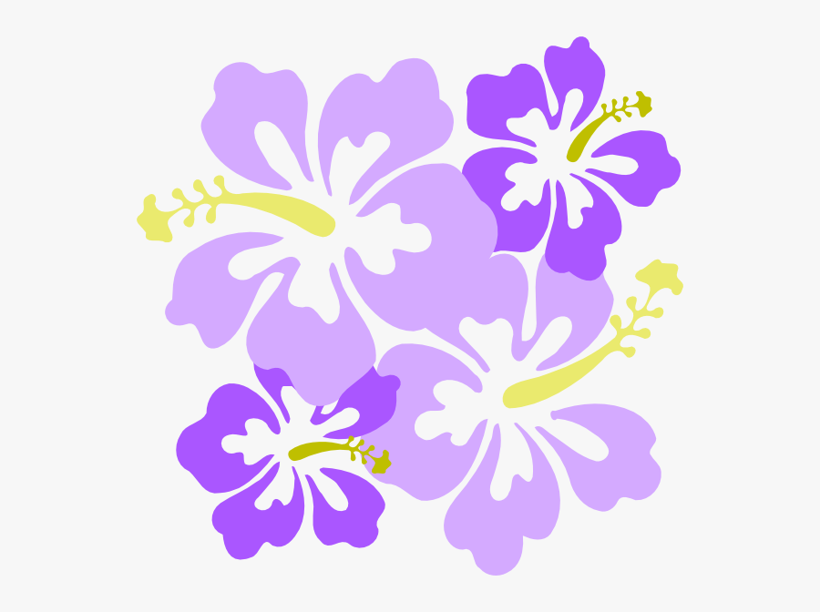 Transparent Hibiscus Border Png - Hibiscus Clip Art, Transparent Clipart