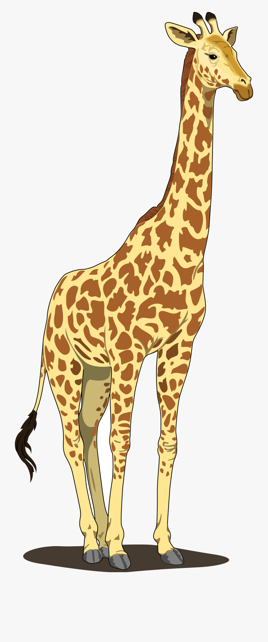 Giraffe Clipart, Transparent Clipart