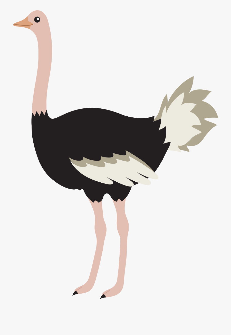 Clip Art Cute Cartoon Ostrich Images - Ostrich Clipart, Transparent Clipart
